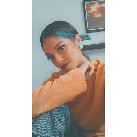 Meet your Posher, Dixie - Picture 1 of 1